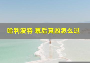 哈利波特 幕后真凶怎么过